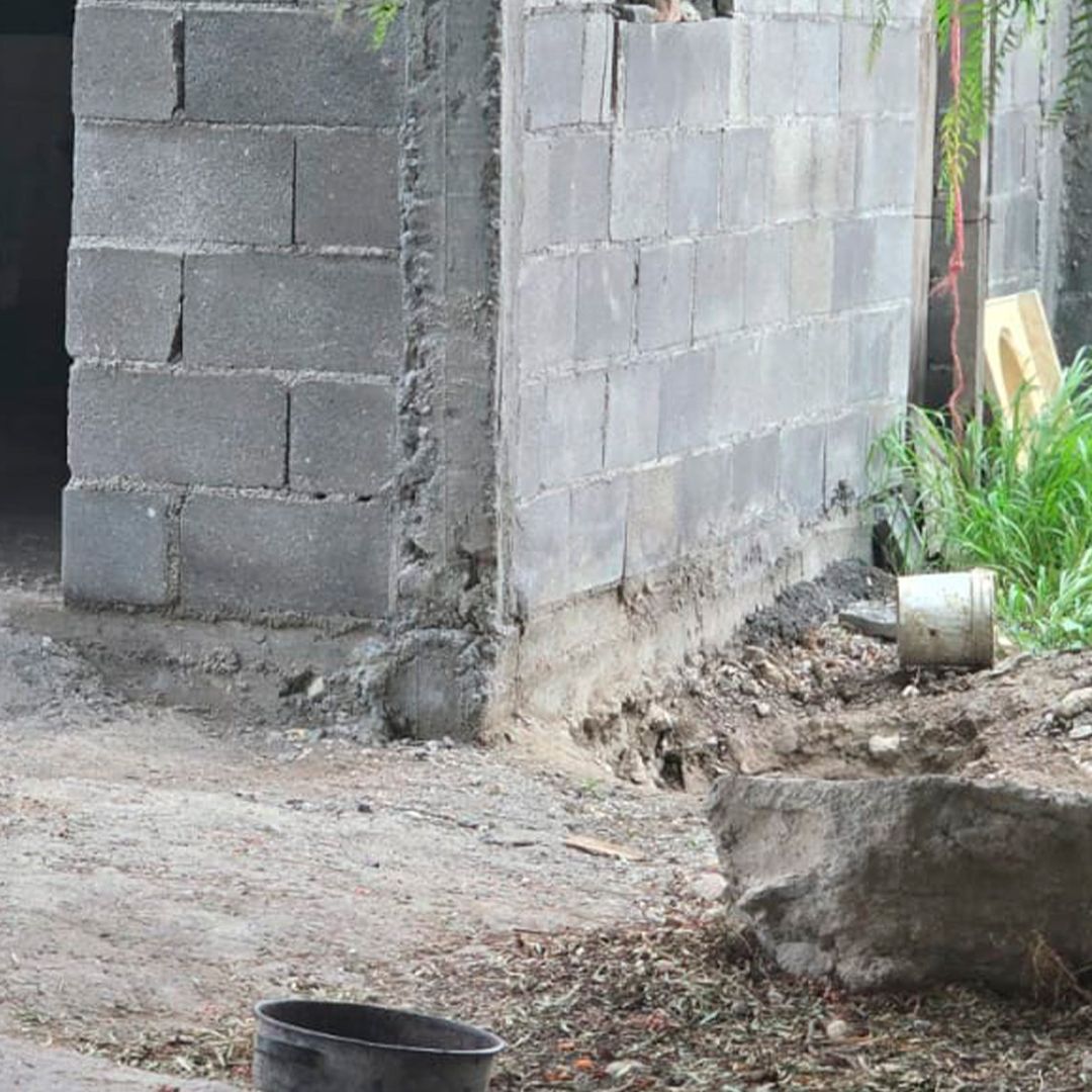 Perro es Presuntamente Enterrado Vivo en Predio de Saltillo